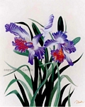 CT-HH-426 LAN TIM - ORCHIDS 20x16 in - USD 239